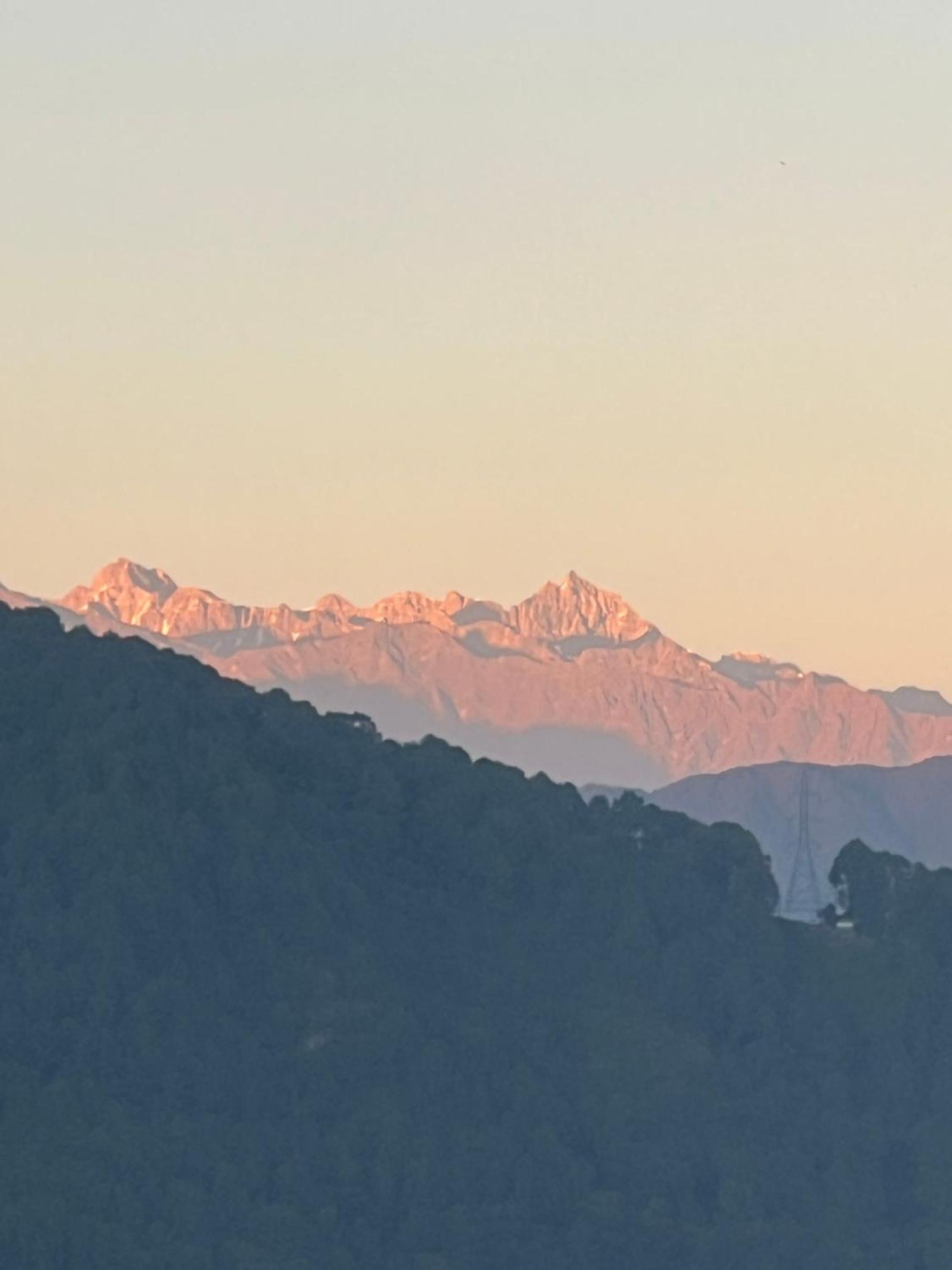 The Sparkling Turtle Backpackers Hostel Katmandu Dış mekan fotoğraf